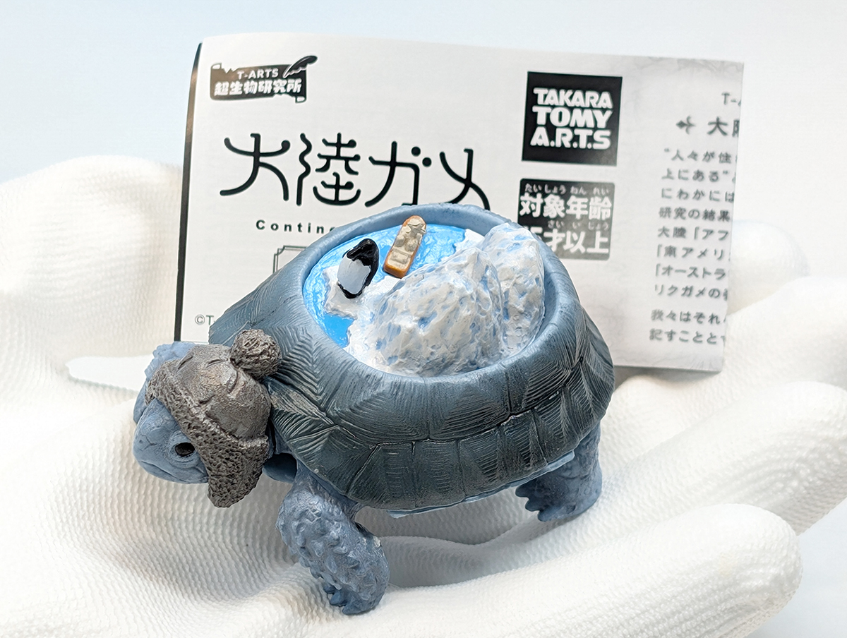 大陸ガメ☆北アメリカ大陸ガメ 駆ける