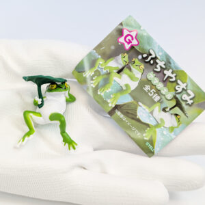 ふちやすみアマガエル