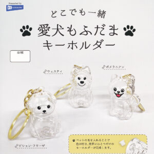 当店からのお知らせ・近日入荷予定一覧 (12月10日現在)