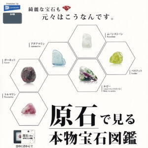 原石で見る本物宝石図鑑