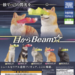 目からBeam☆