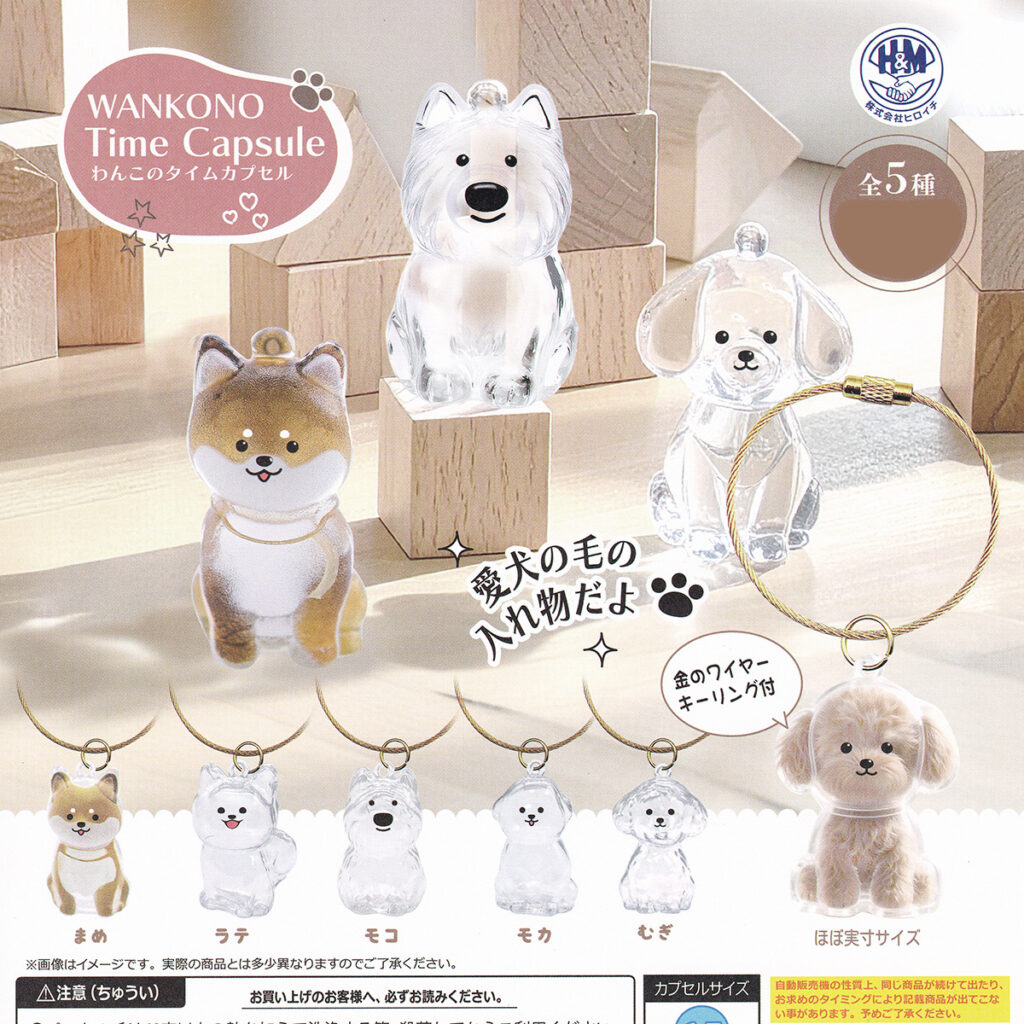 わんこのタイムカプセル