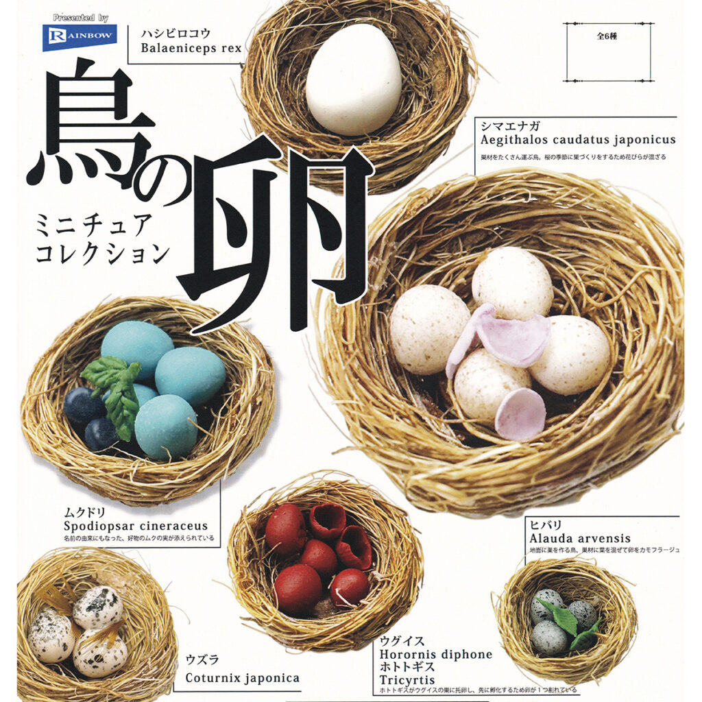 商品名 : 鳥の卵ミニチュアコレクション