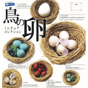 商品名 : 鳥の卵ミニチュアコレクション