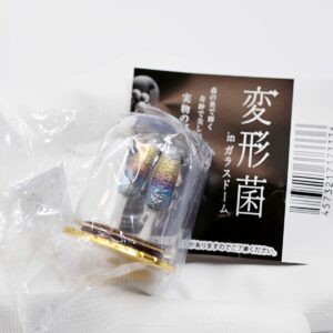商品名 : 変形菌inガラスドーム