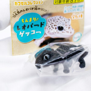 商品名 : ちんまりレオパードゲッコー