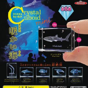 クリスタルキューボイド mini 暖かい海