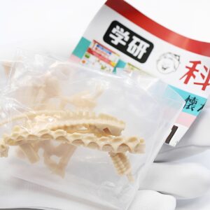 商品名 : 学研 科学と学習 懐かしのふろくたち ミニチュアコレクション2