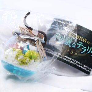 商品名 : 魔法道具店の不思議なテラリウム