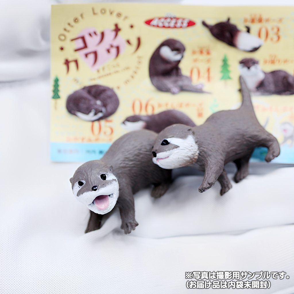 商品名 : OtterLoverコツメカワウソますこっと