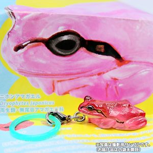 商品名 : ネイチャーテクニカラー MONO PLUS アマガエル めじるしマスコット クリアカラー
