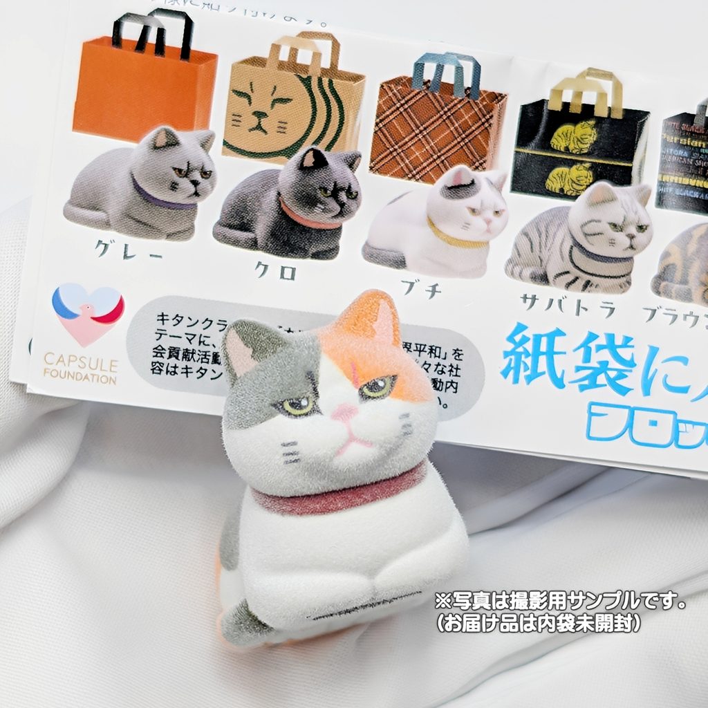 商品名 : 紙袋に入った猫 フロッキー3