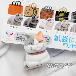 商品名 : 紙袋に入った猫 フロッキー3