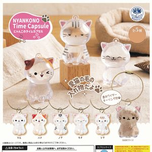 商品名 : にゃんこのタイムカプセル